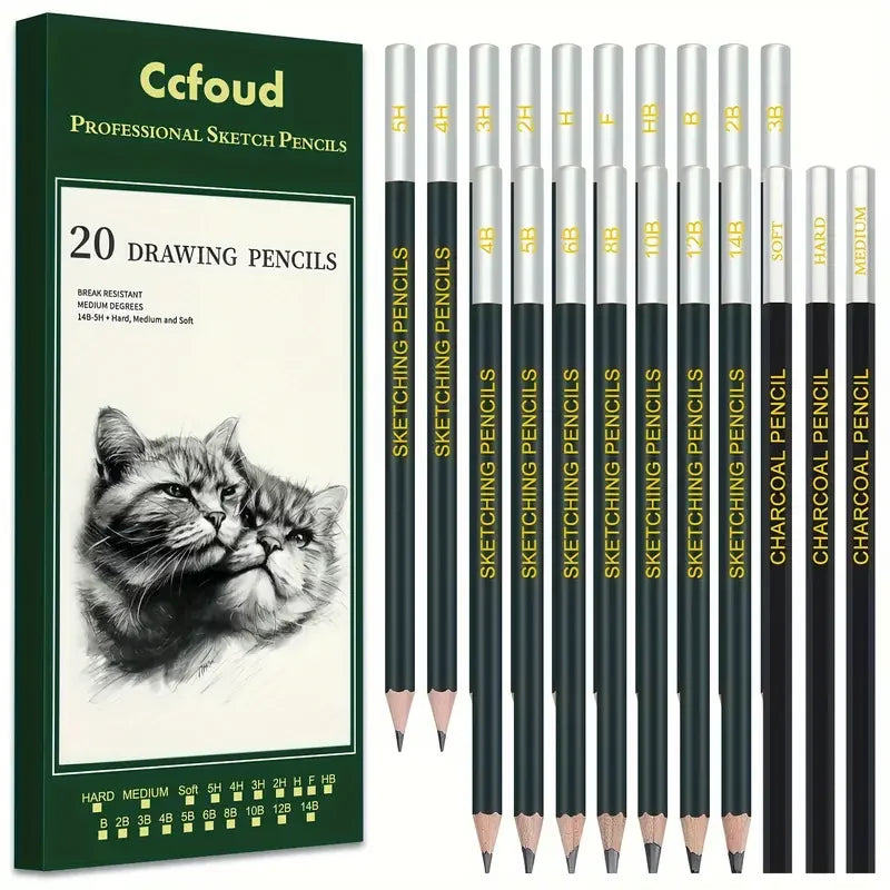 20-Piece Professional Wood Drawing Pencils Set, Pre-sharpened Medium Point Graphite Sketching Pencils for Artists